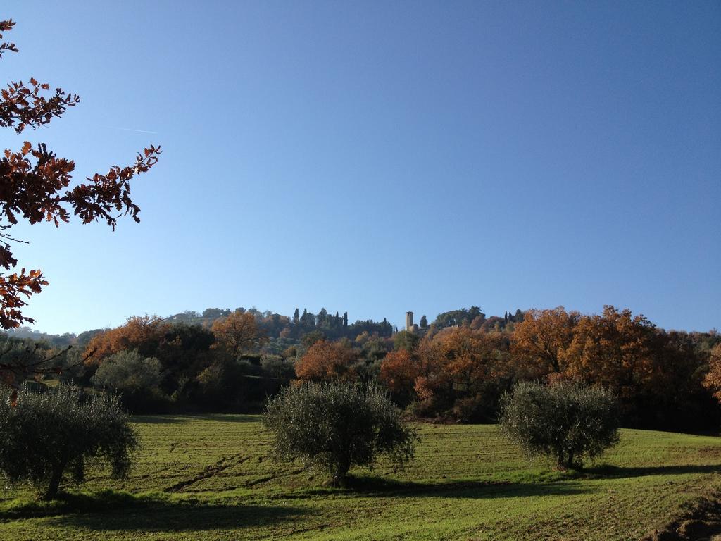Podere Schioppello Casale Con Appartamenti Privati Cibottola Exterior foto