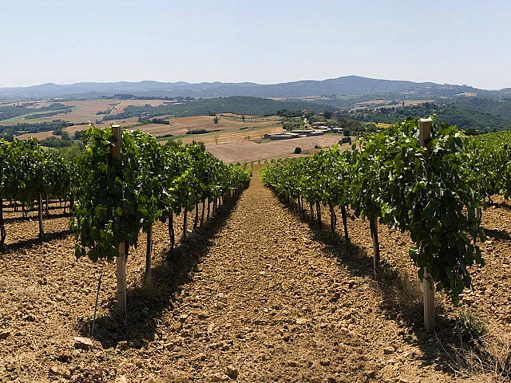 Podere Schioppello Casale Con Appartamenti Privati Cibottola Exterior foto