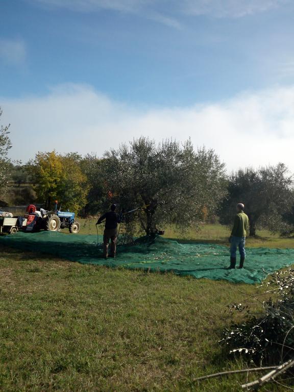 Podere Schioppello Casale Con Appartamenti Privati Cibottola Exterior foto